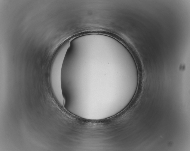 X0000114021269200910231829