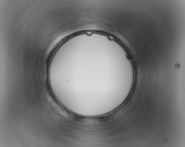 X0000114021270200910231829