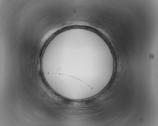 X0000114021271200910231829