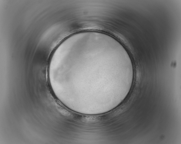 X0000114021274200910231829