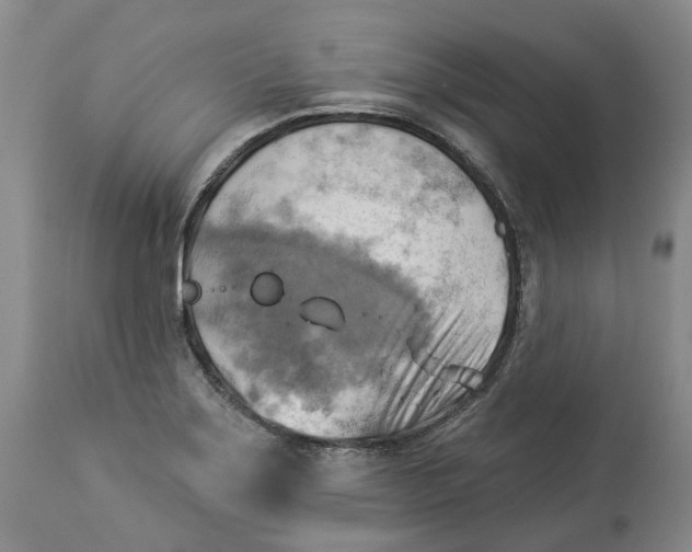 X0000114021275200910231829