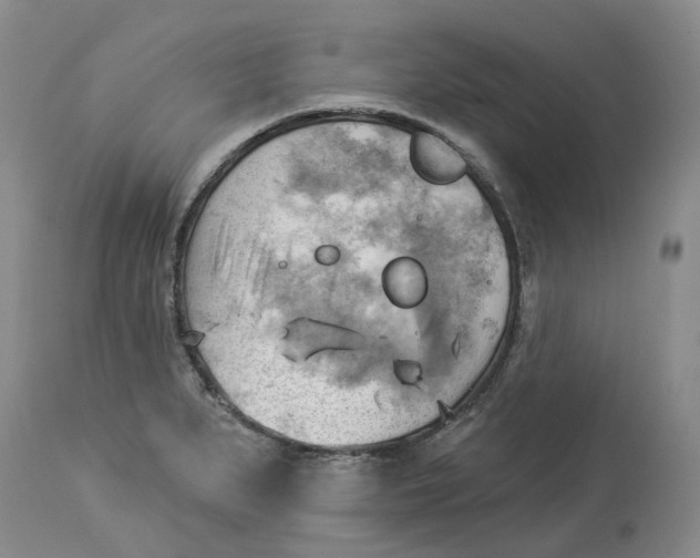 X0000114021279200910231829