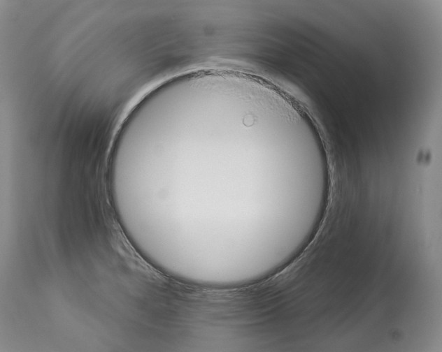 X0000114021280200910231829