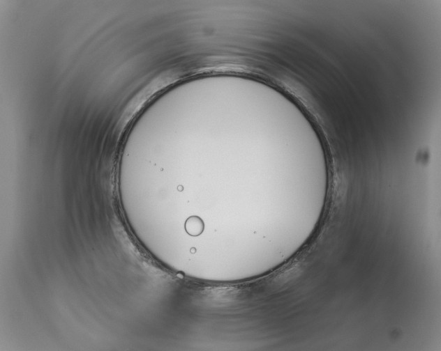 X0000114021282200910231829