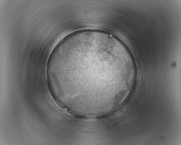 X0000114021283200910231829