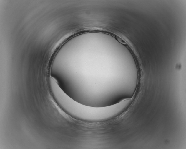 X0000114021285200910231829