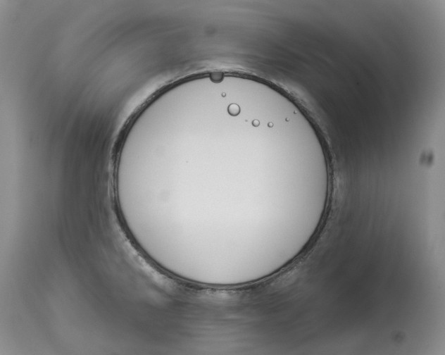 X0000114021286200910231829