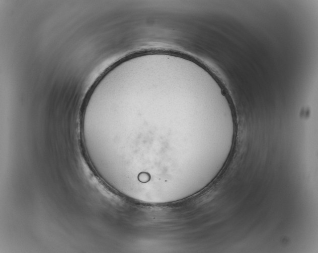 X0000114021287200910231829