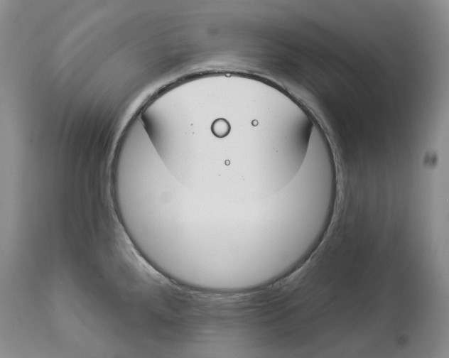 X0000114021288200910231829