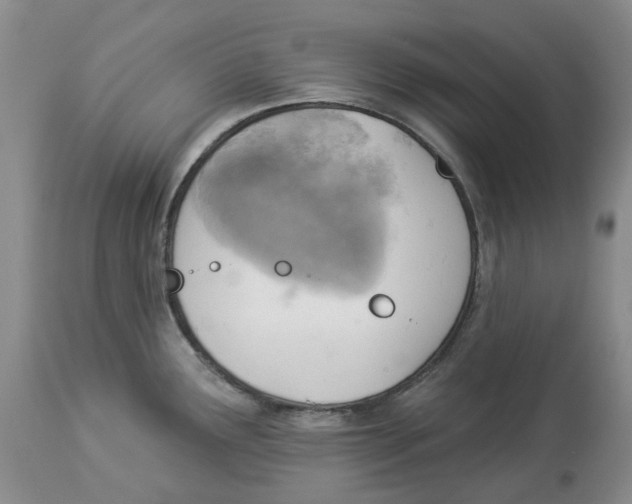 X0000114021291200910231829