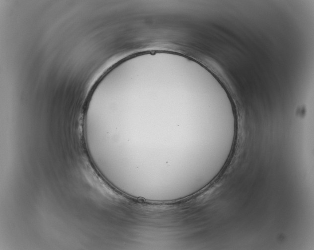 X0000114021292200910231829