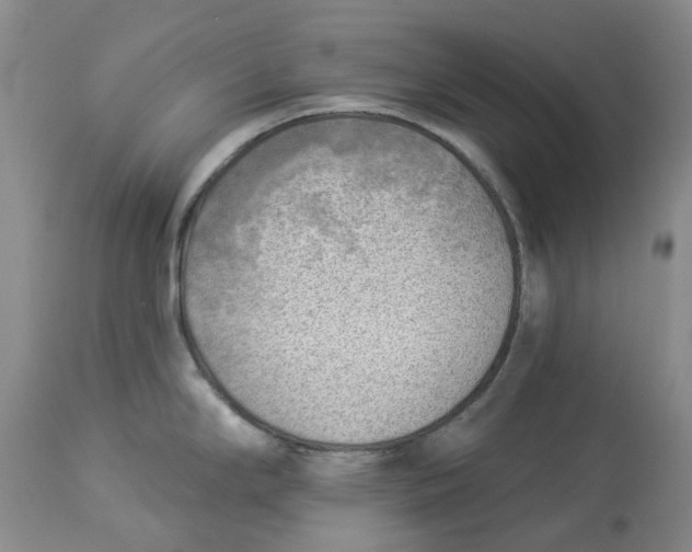 X0000114021294200910231828