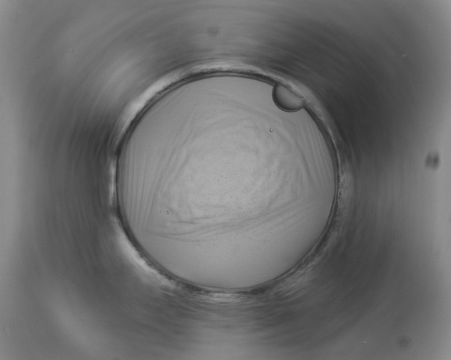 X0000114021295200910231828