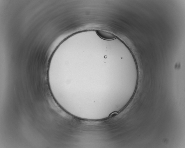 X0000114021296200910231828