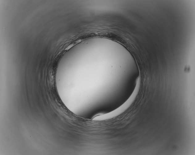 X0000114021298200910231828