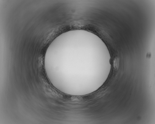 X0000114021299200910231828