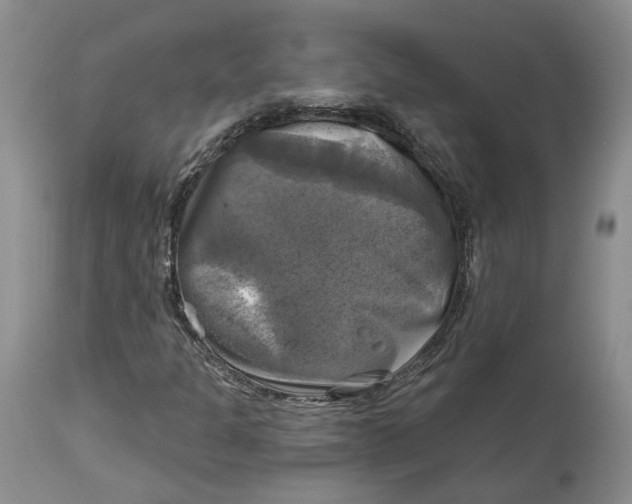 X0000114021301200910231828