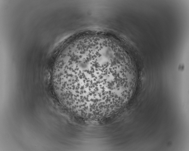 X0000114021302200910231828