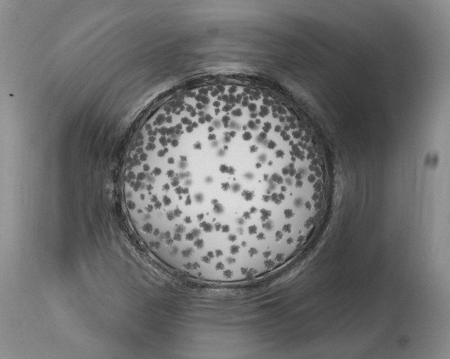 X0000114021305200910231828