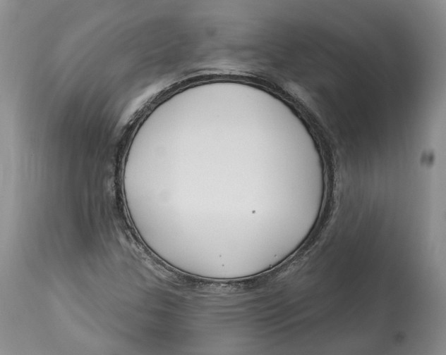 X0000114021307200910231828