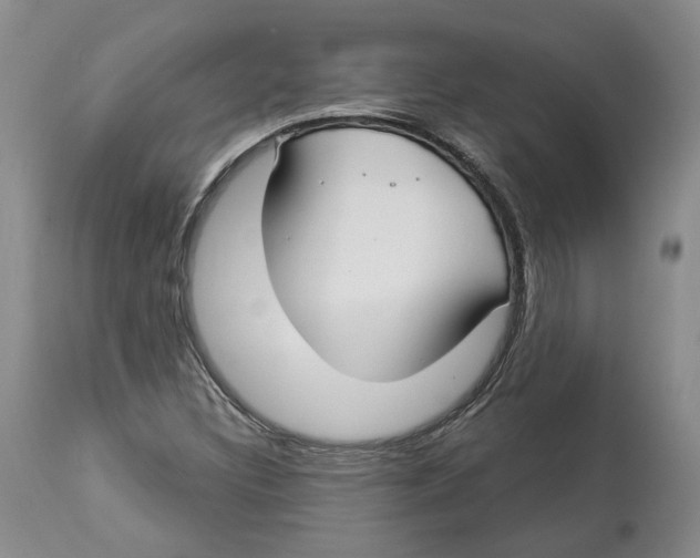 X0000114021308200910231828