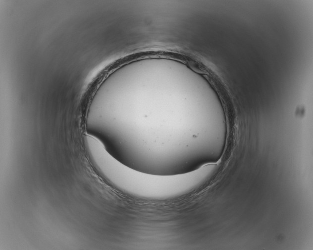 X0000114021310200910231828