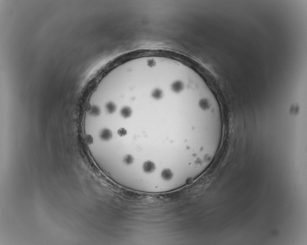 X0000114021311200910231828