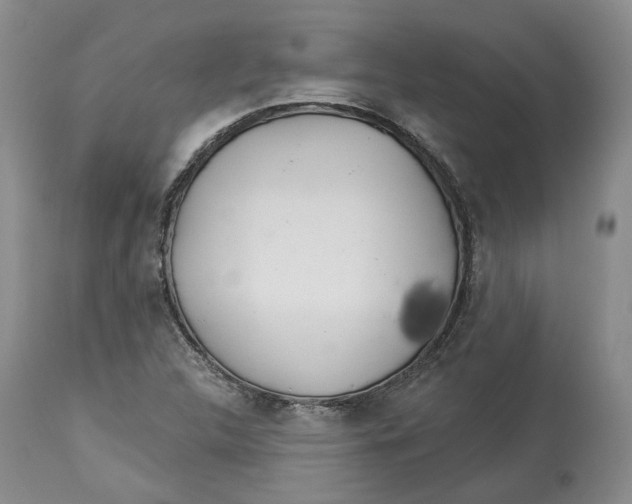 X0000114021312200910231828