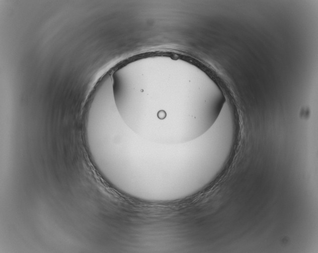 X0000114021316200910231828