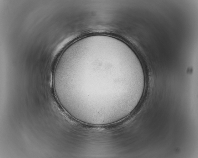 X0000114021317200910231828