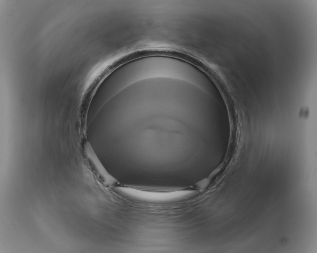 X0000114021319200910231828