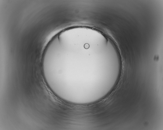 X0000114021320200910231828