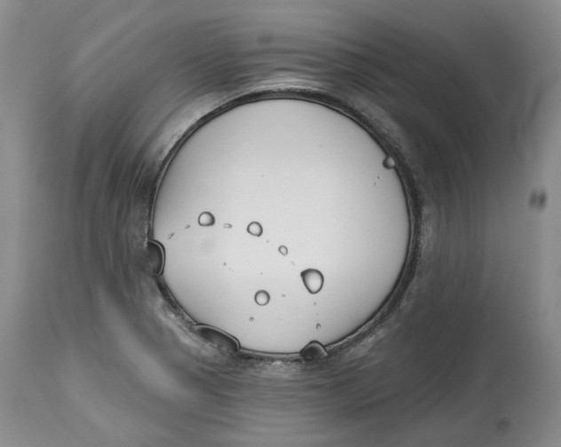 X0000114021321200910231828