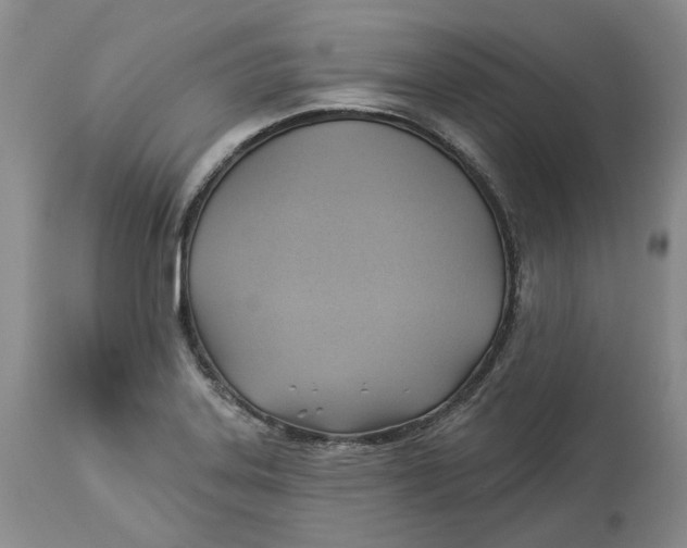 X0000114021323200910231828