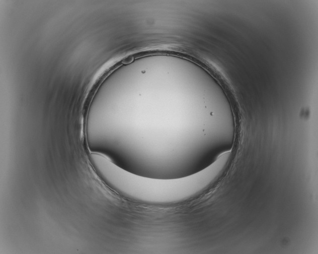 X0000114021324200910231828