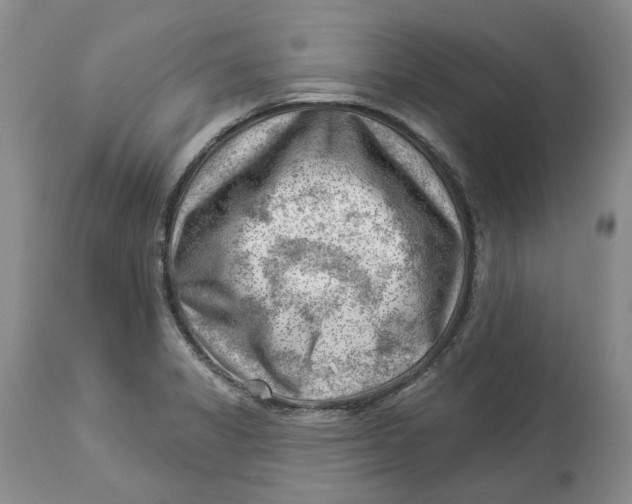 X0000114021325200910231828