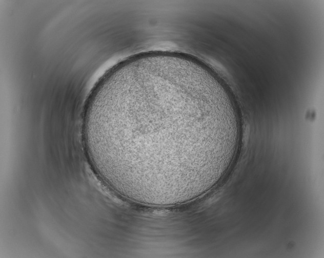 X0000114021326200910231828