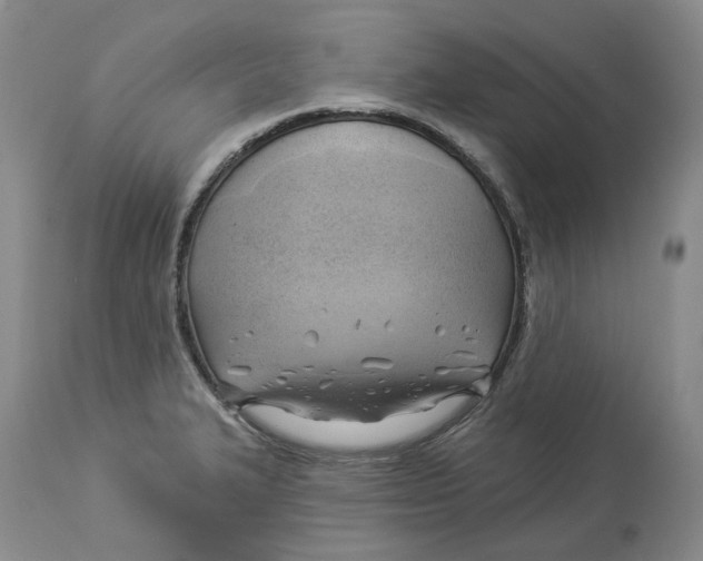 X0000114021327200910231828