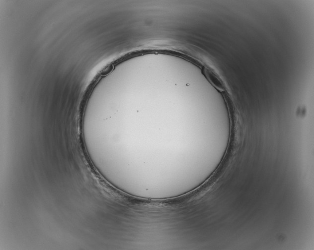 X0000114021328200910231828