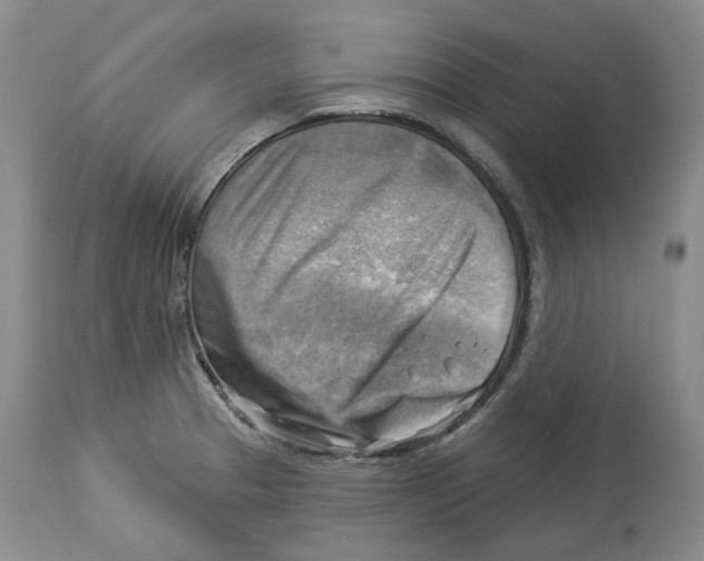 X0000114021329200910231828