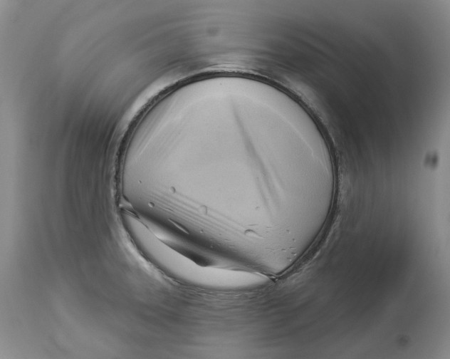 X0000114021331200910231828