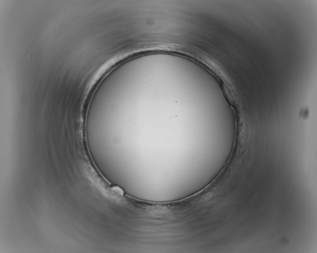 X0000114021332200910231828