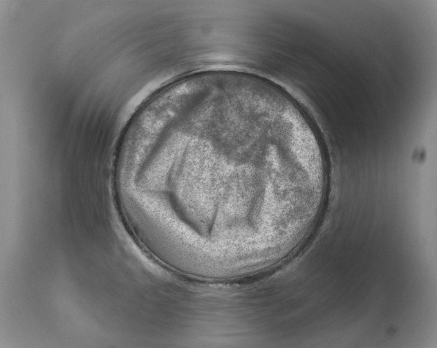 X0000114021333200910231828