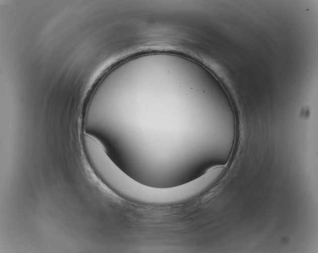 X0000114021334200910231828