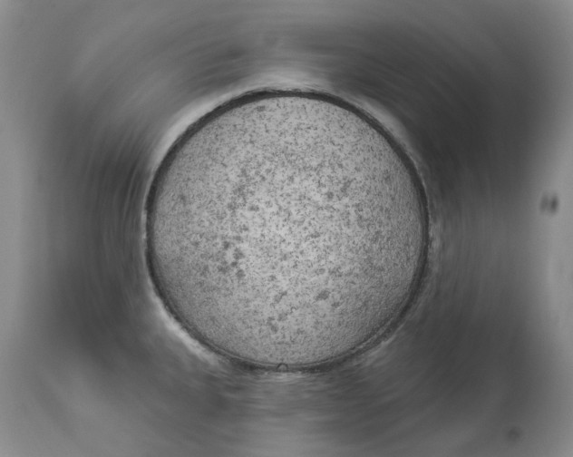 X0000114021335200910231828