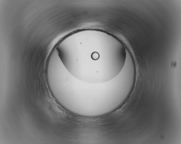 X0000114021336200910231828