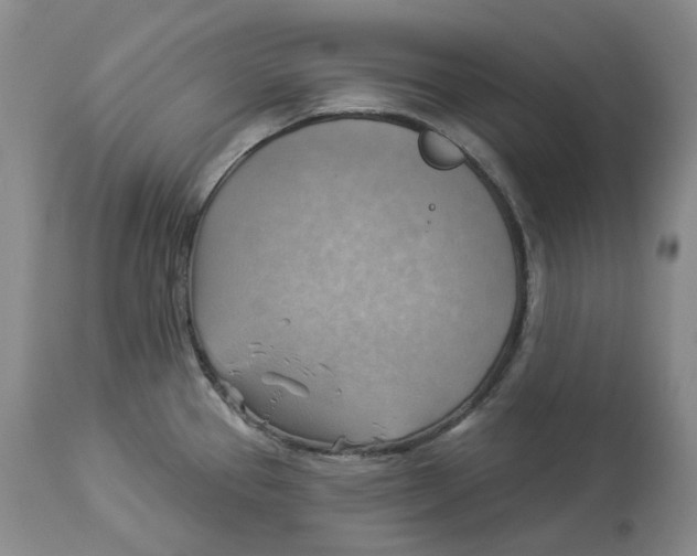 X0000114021337200910231828