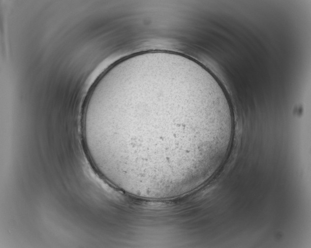 X0000114021339200910231828