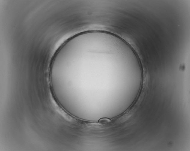 X0000114021342200910231828