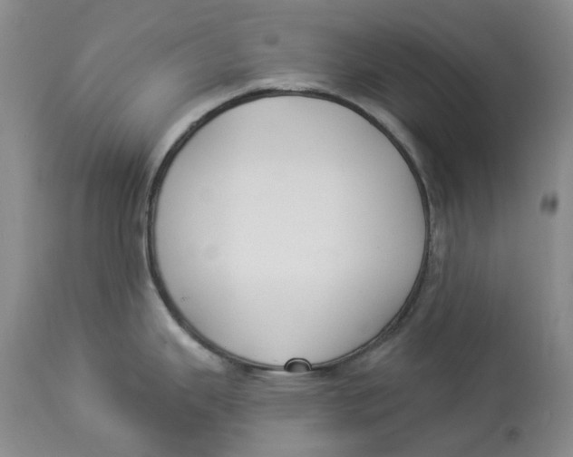 X0000114021343200910231828